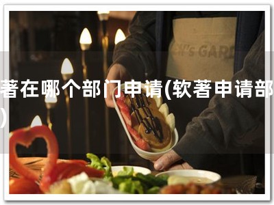 软著在哪个部门申请(软著申请部门：)