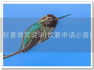 软著填写说明(软著申请必备)