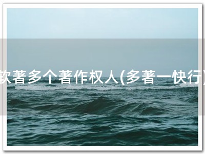 软著多个著作权人(多著一快行)