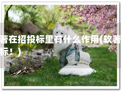 软著在招投标里有什么作用(软著助招标！)