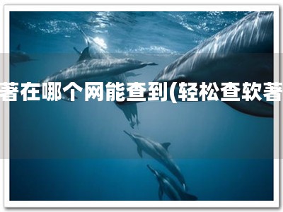 软著在哪个网能查到(轻松查软著！)