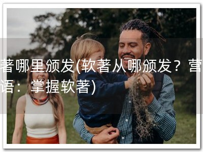 软著哪里颁发(软著从哪颁发？营销短语：掌握软著)
