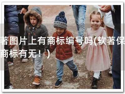 软著图片上有商标编号吗(软著保障，商标有无！)