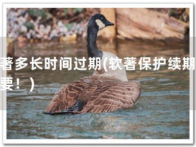 软著多长时间过期(软著保护续期，重要！)