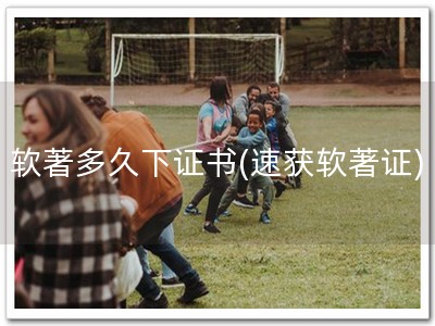 软著多久下证书(速获软著证)