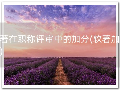 软著在职称评审中的加分(软著加分！)