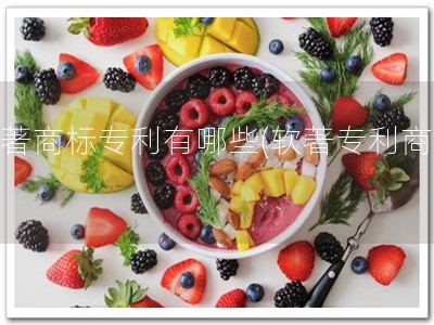 软著商标专利有哪些(软著专利商标)