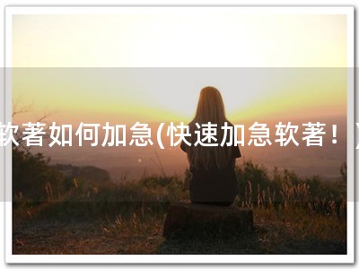 软著如何加急(快速加急软著！)