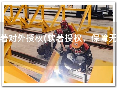 软著对外授权(软著授权，保障无忧)