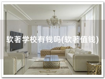 软著学校有钱吗(软著值钱)
