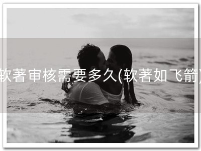 软著审核需要多久(软著如飞箭)