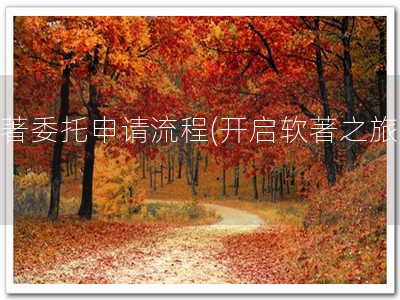 软著委托申请流程(开启软著之旅！)
