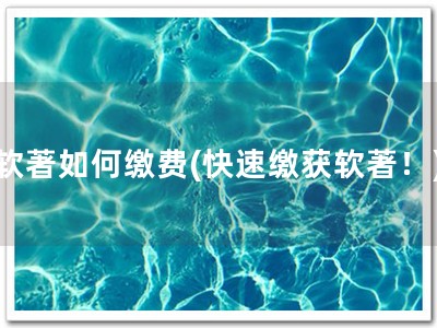 软著如何缴费(快速缴获软著！)