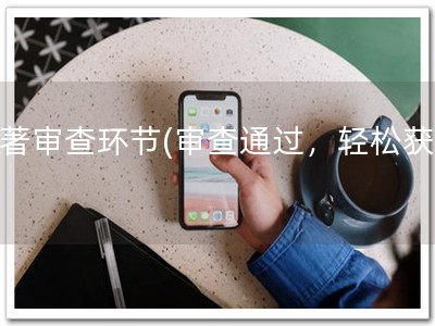 软著审查环节(审查通过，轻松获证)