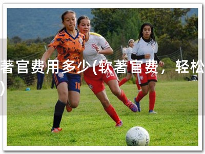 软著官费用多少(软著官费，轻松知晓)