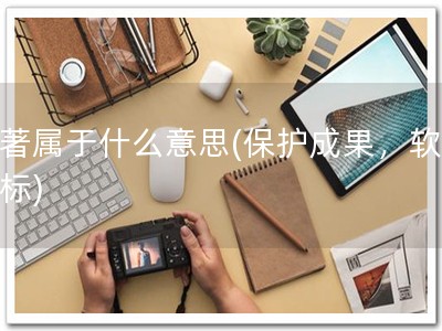 软著属于什么意思(保护成果，软著商标)