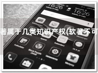 软著属于几类知识产权(软著不可少)