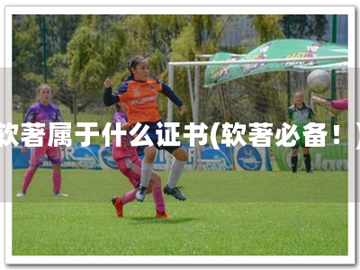 软著属于什么证书(软著必备！)