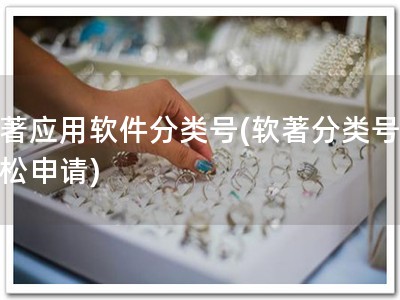 软著应用软件分类号(软著分类号，轻松申请)