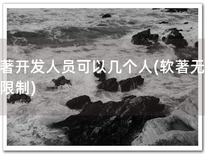 软著开发人员可以几个人(软著无人数限制)