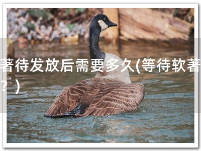 软著待发放后需要多久(等待软著发放？)