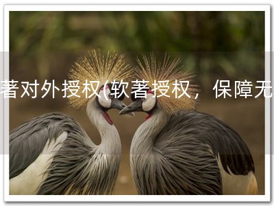 软著对外授权(软著授权，保障无忧)