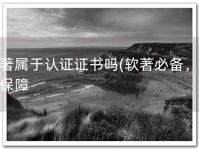 软著属于认证证书吗(软著必备，安全保障