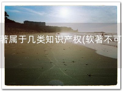 软著属于几类知识产权(软著不可少)