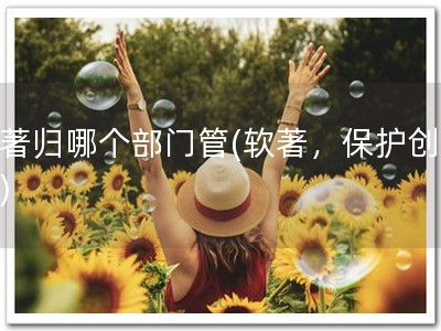 软著归哪个部门管(软著，保护创意！)