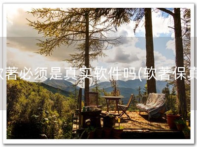 软著必须是真实软件吗(软著保真)