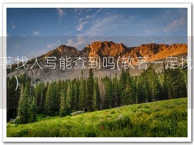 软著找人写能查到吗(软著一定找专业！)