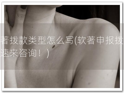 软著拨款类型怎么写(软著申报拨款，速来咨询！)