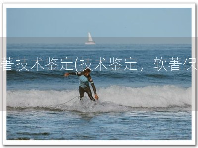 软著技术鉴定(技术鉴定，软著保障)