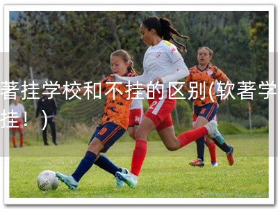 软著挂学校和不挂的区别(软著学校必挂！)