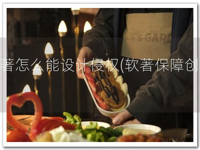软著怎么能设计侵权(软著保障创新)