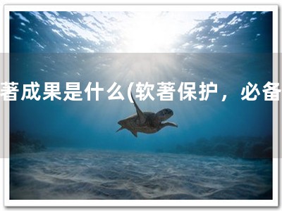 软著成果是什么(软著保护，必备！)