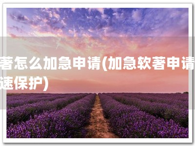 软著怎么加急申请(加急软著申请，快速保护)