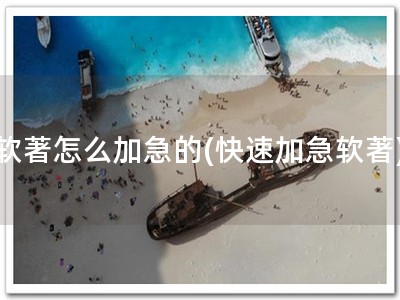 软著怎么加急的(快速加急软著)