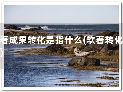 软著成果转化是指什么(软著转化万象)