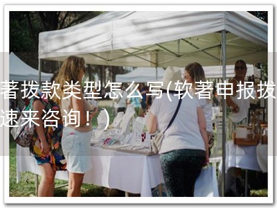 软著拨款类型怎么写(软著申报拨款，速来咨询！)
