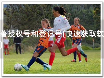 软著授权号和登记号(快速获取软著！)