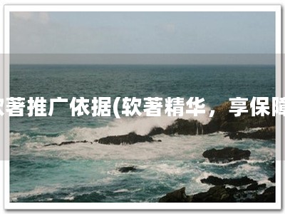 软著推广依据(软著精华，享保障)