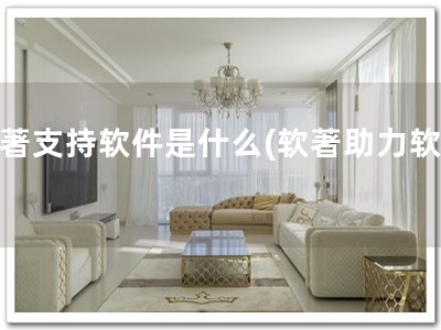 软著支持软件是什么(软著助力软件)