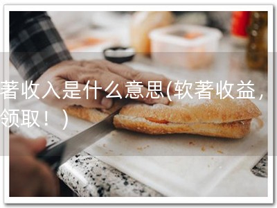软著收入是什么意思(软著收益，快来领取！)