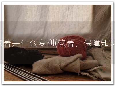 软著是什么专利(软著，保障知识)