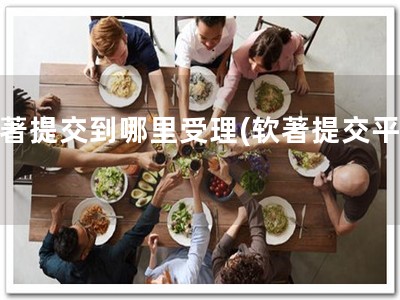 软著提交到哪里受理(软著提交平台)