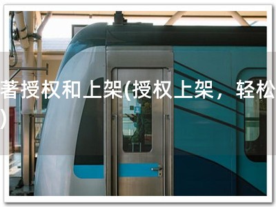 软著授权和上架(授权上架，轻松拥有)