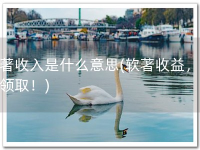 软著收入是什么意思(软著收益，快来领取！)
