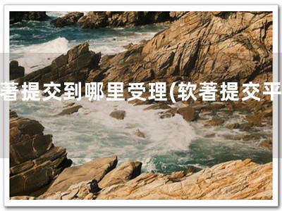 软著提交到哪里受理(软著提交平台)