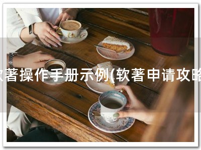 软著操作手册示例(软著申请攻略)
